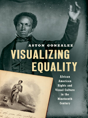 cover image of Visualizing Equality